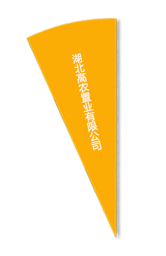 威廉希尔·williamhill(中国)中文官方网站