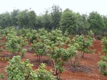 威廉希尔·williamhill(中国)中文官方网站