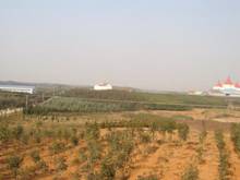 威廉希尔·williamhill(中国)中文官方网站