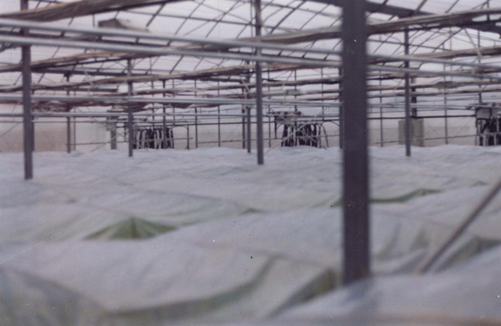 威廉希尔·williamhill(中国)中文官方网站