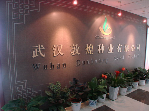 威廉希尔·williamhill(中国)中文官方网站