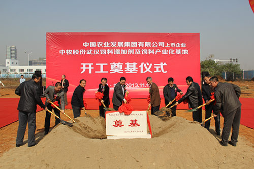 威廉希尔·williamhill(中国)中文官方网站