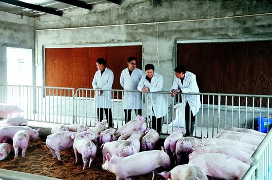 威廉希尔·williamhill(中国)中文官方网站