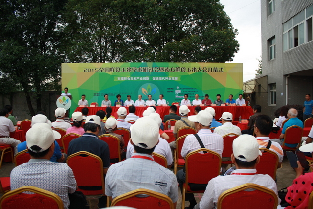 威廉希尔·williamhill(中国)中文官方网站