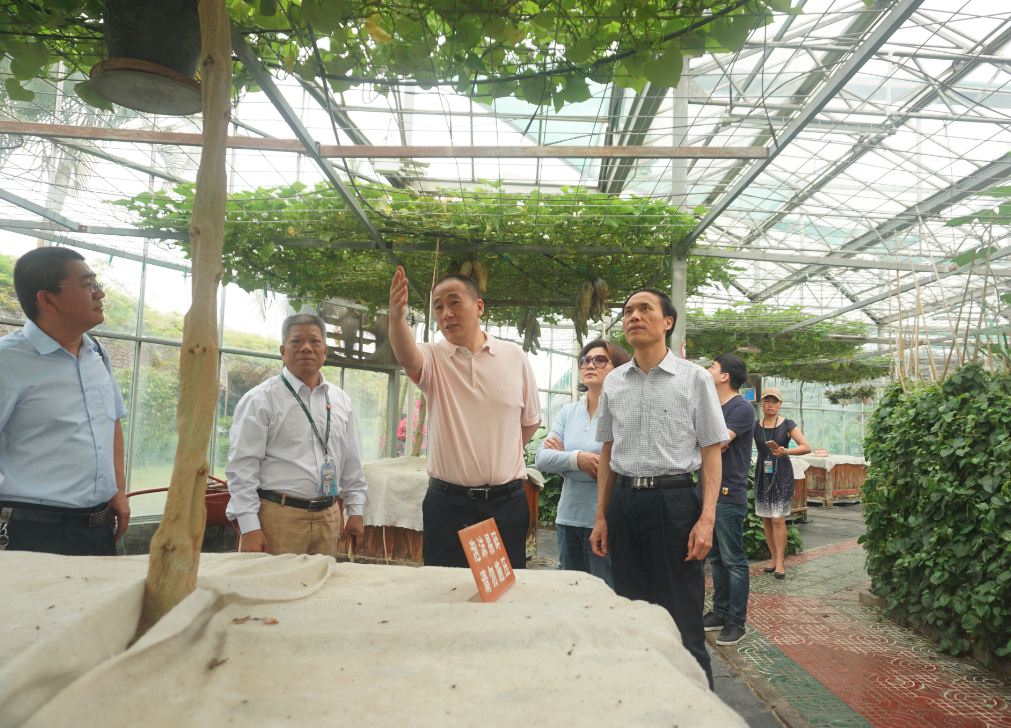 威廉希尔·williamhill(中国)中文官方网站