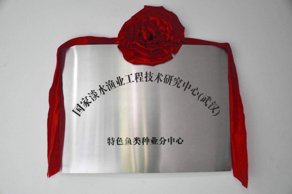 威廉希尔·williamhill(中国)中文官方网站