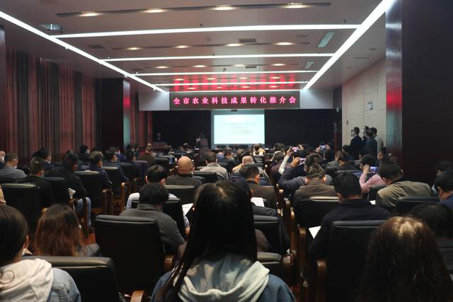 威廉希尔·williamhill(中国)中文官方网站